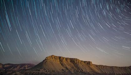 leyu乐鱼-卡迪夫城引进黑马球员，冲击英冠头名，卡迪夫城主场球场