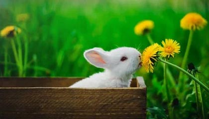 Leyu Sport下载-中国男排世联赛爆冷胜意大利，首次击败世界冠军，中国男排进军世锦赛