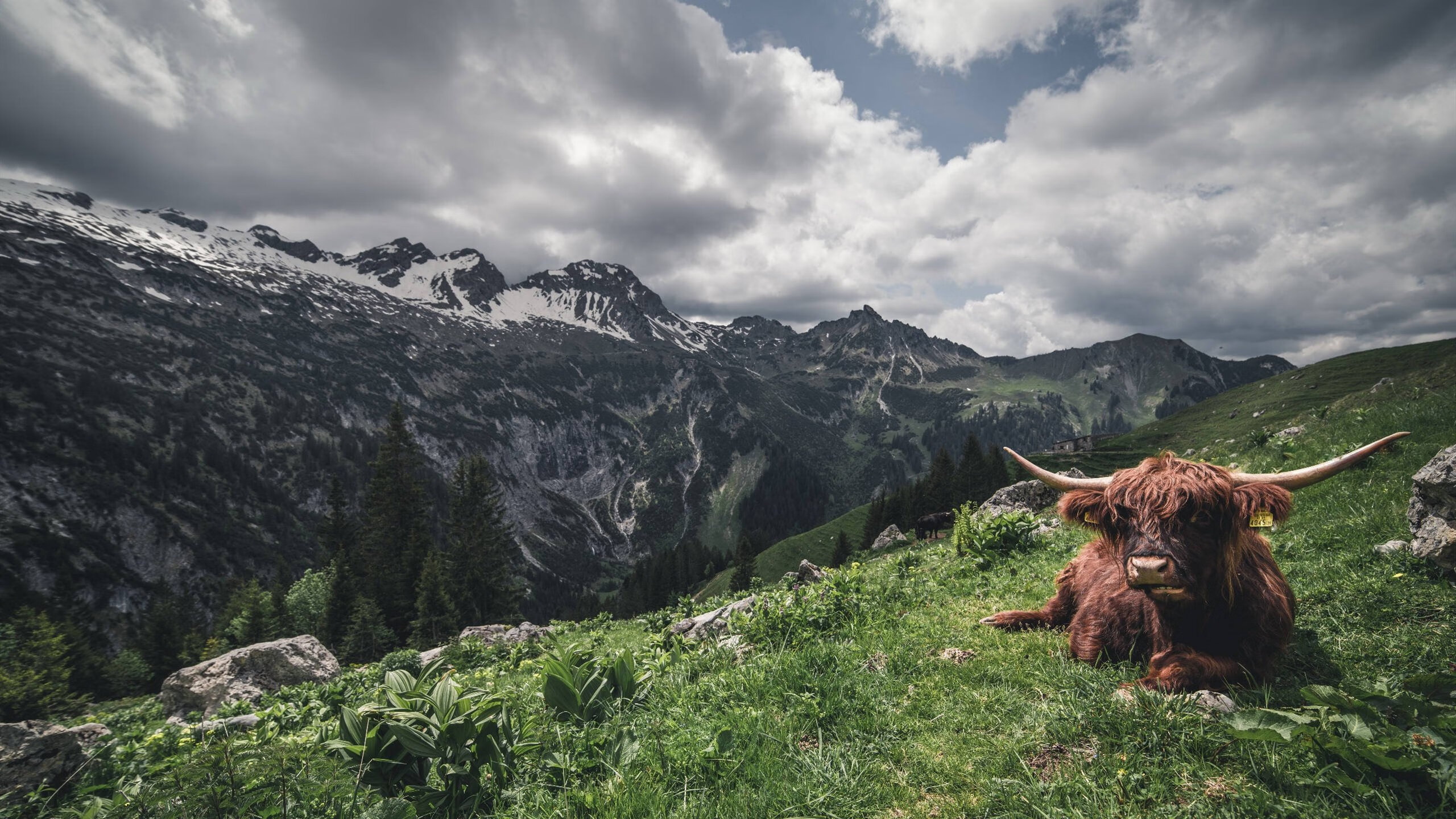 _中国新星李明突破世界前十，晋级温布尔登八强_，李明前国脚