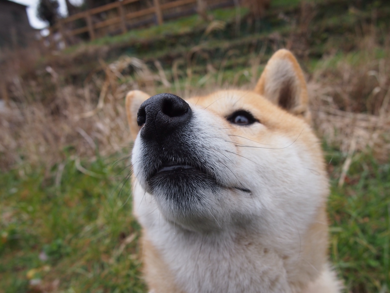 _赛场上的感人时刻:运动员互相鼓励传递正能量_,激励运动员的说辞