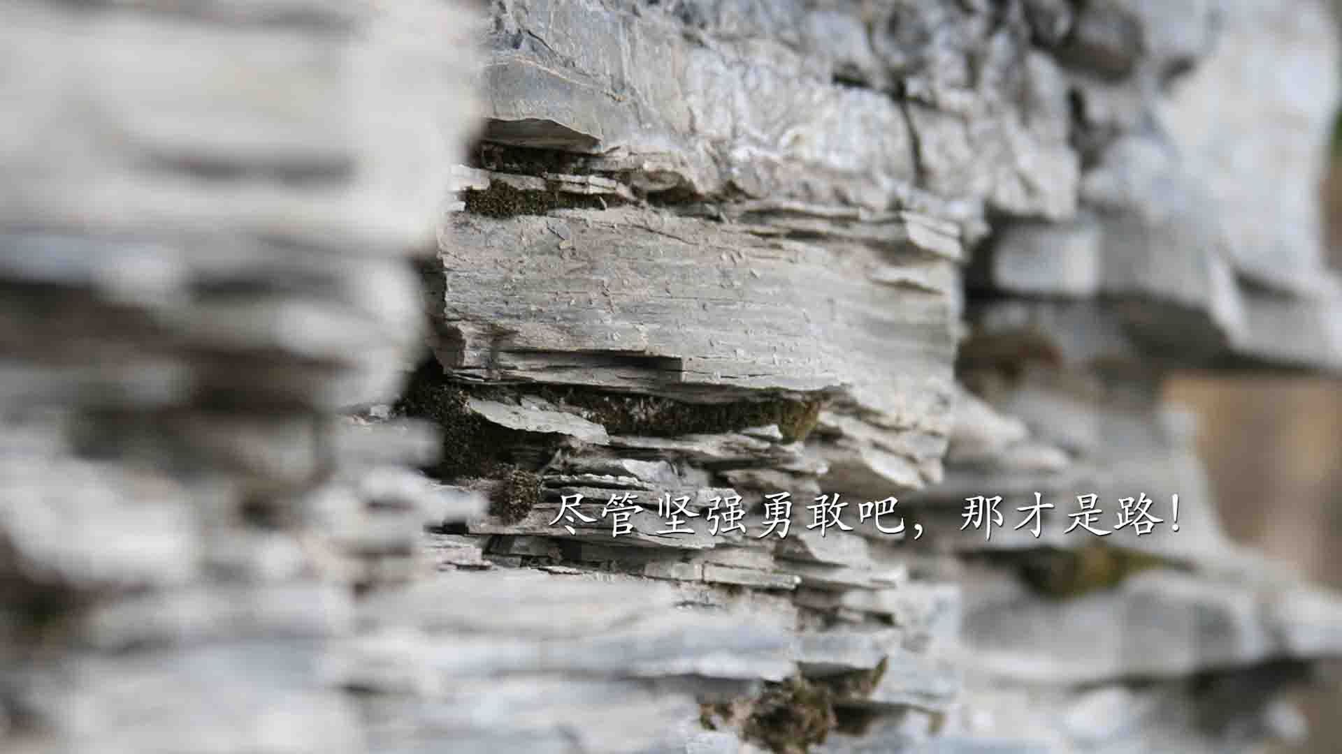 《国际电竞联盟峰会：推动行业标准化与合作》，国际电竞展