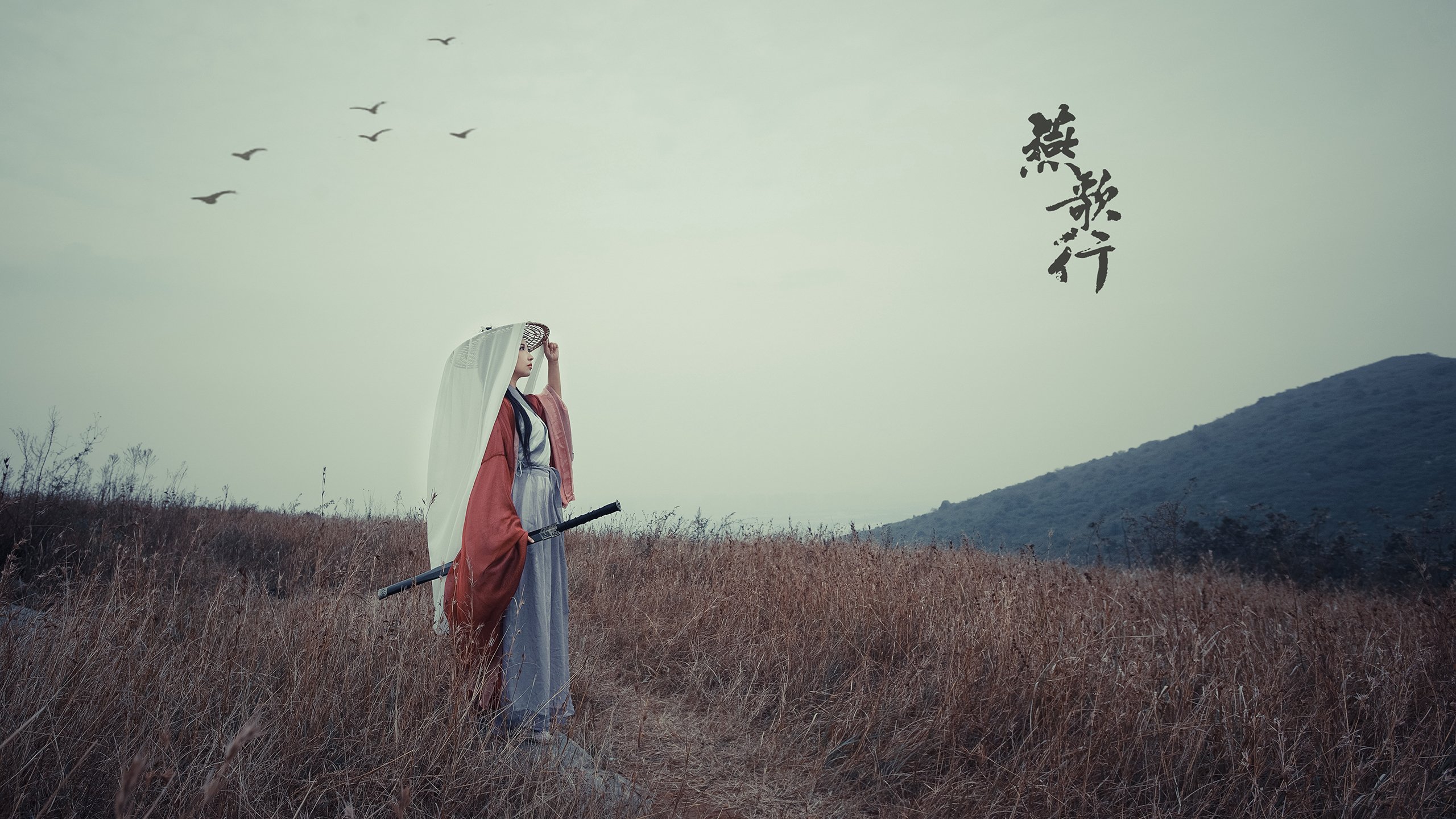 全新电竞联赛即将启动,奖金丰厚等你来战!,电竞联赛赛制