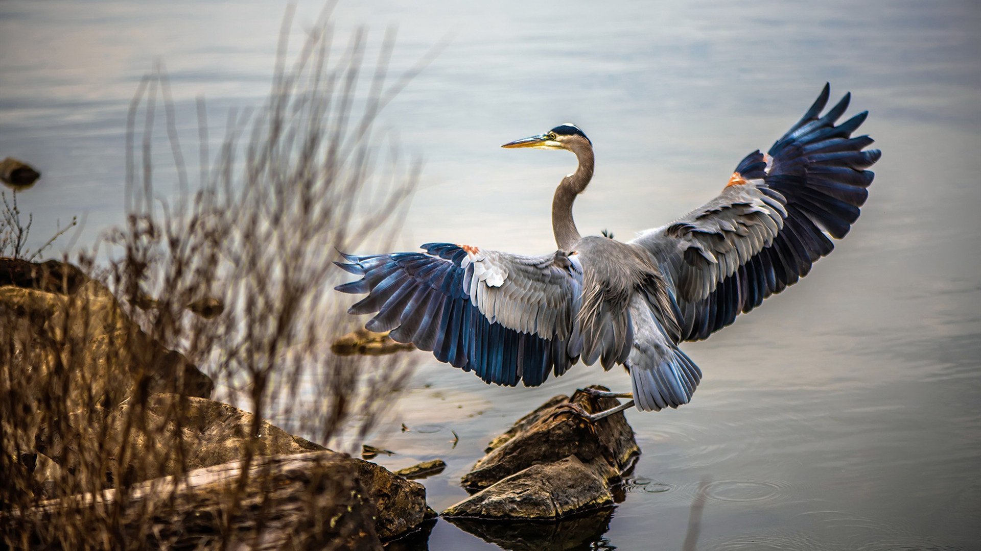史上最年轻“冠军传奇”完成梦想征程,史上最年轻的常规赛mvp获得者是谁