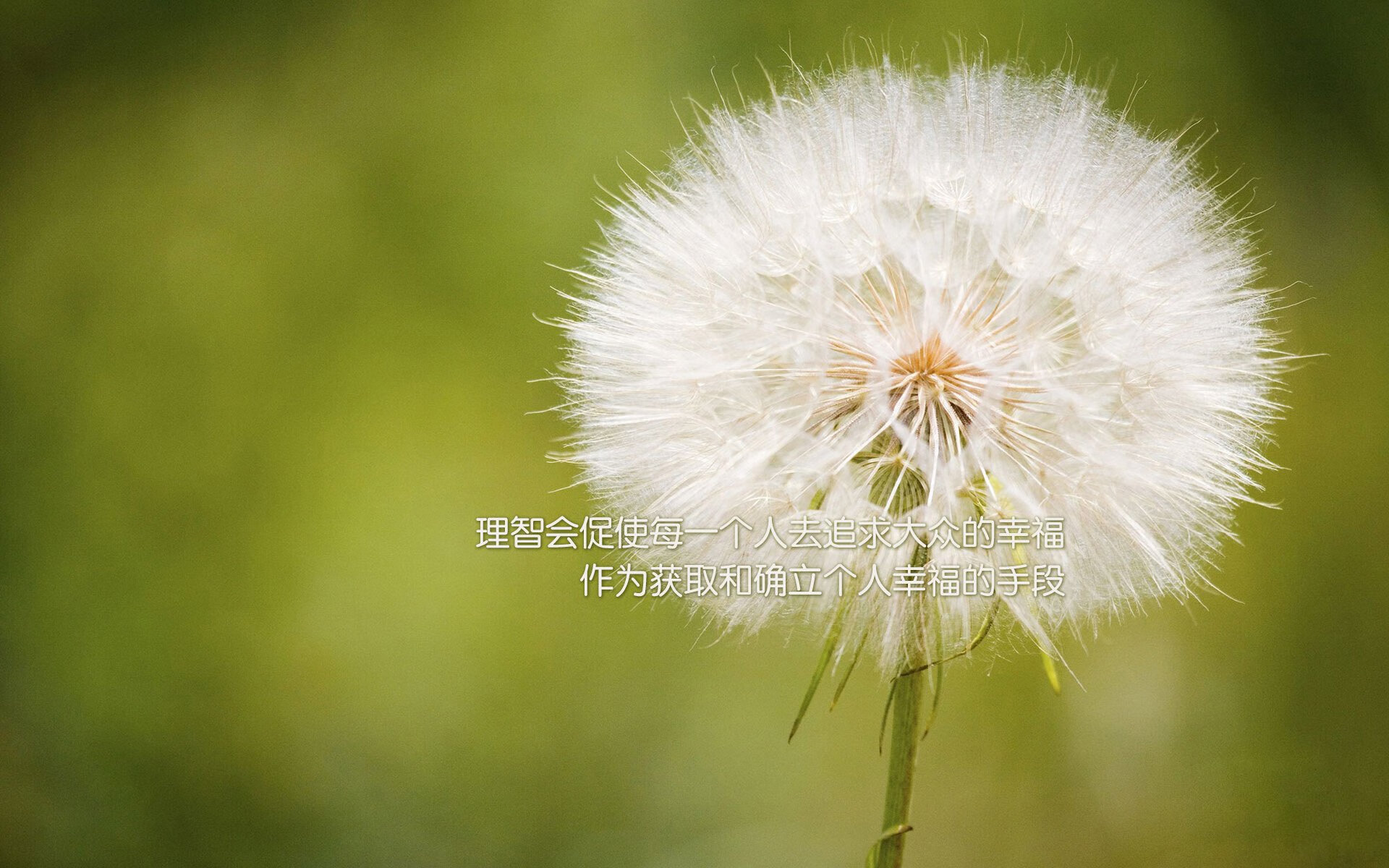 未来科技：激光导航与智能辅助如何革新WRC，激光导航的原理