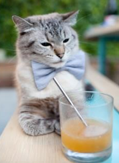 未来“欧洲霸主”竞逐赛:谁将书写新的辉煌?,欧洲竞技