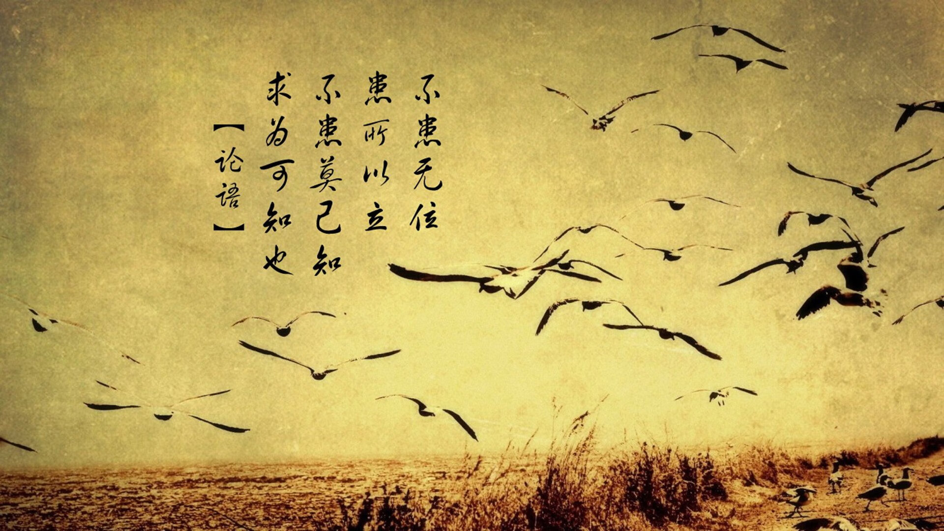 网球大师赛：传奇选手再度问鼎王座，网球大师赛视频