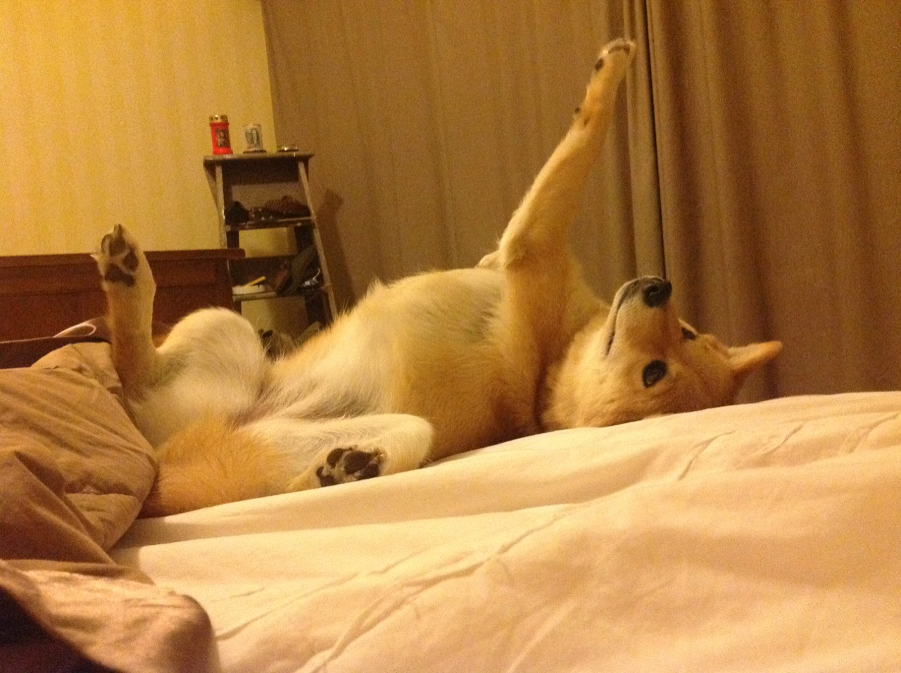 乐鱼体育APP官方下载-中国足球推出“足球公益助学”计划