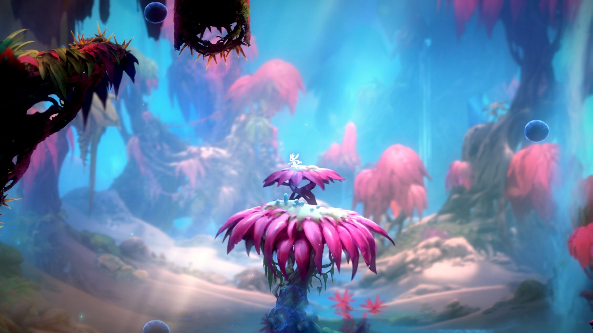 伊普斯维奇城:22年后重返英超,伊普斯威奇