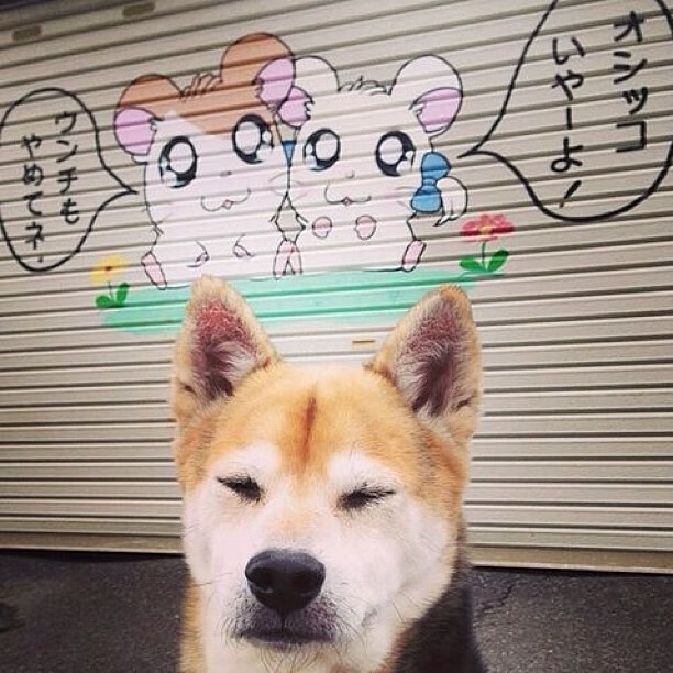 多国球队在赛场上一决高下，带来精彩瞬间