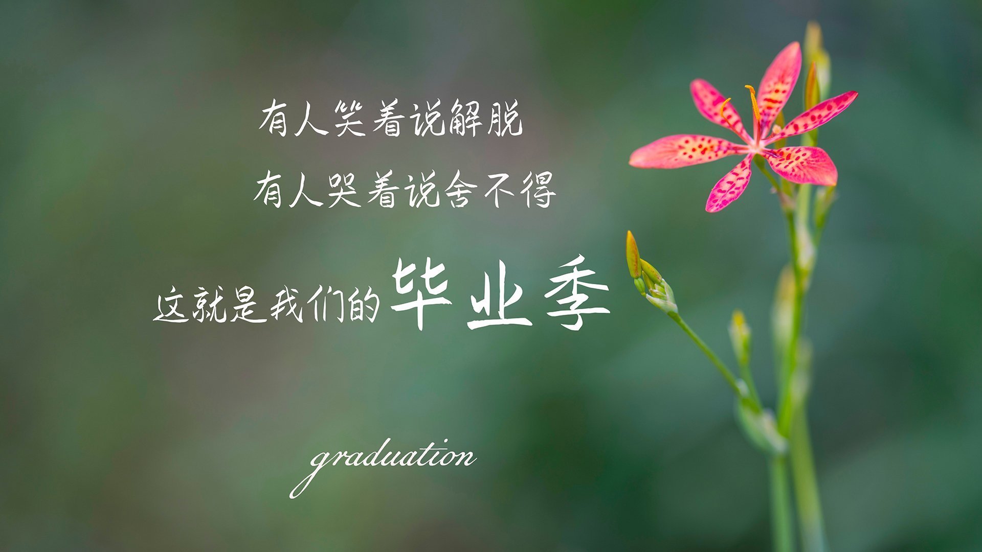 政府加大足球投入,支持产业发展,国家支持足球的政策