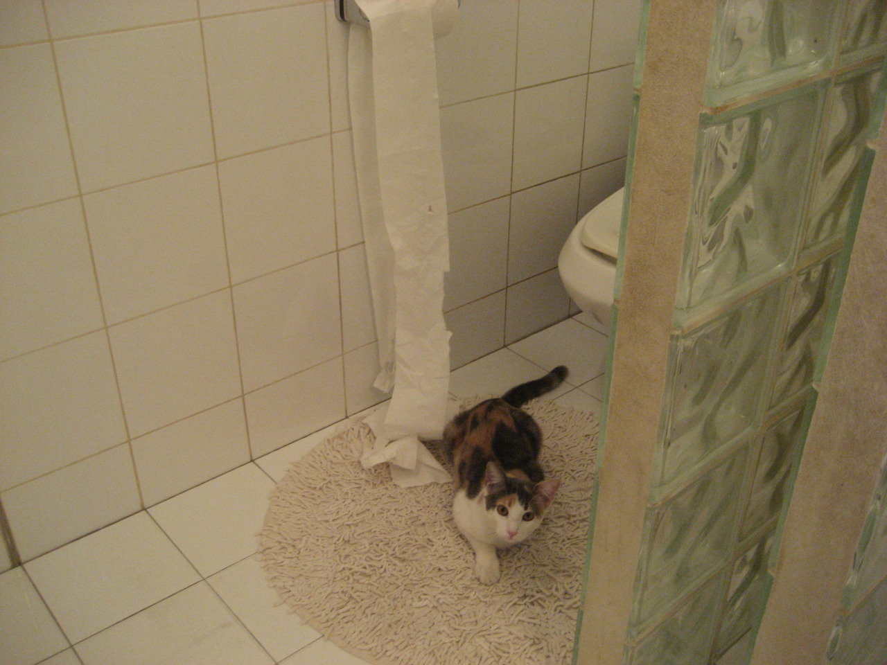 乐鱼体育-斯洛文尼亚险胜晋级，波黑队失利，斯洛文尼亚队员