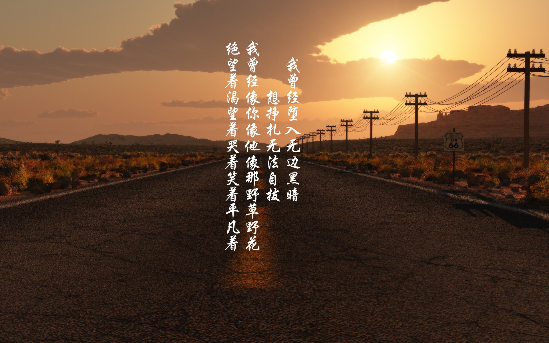 新疆雪豹队员技高一筹,信心十足,新疆雪豹数量