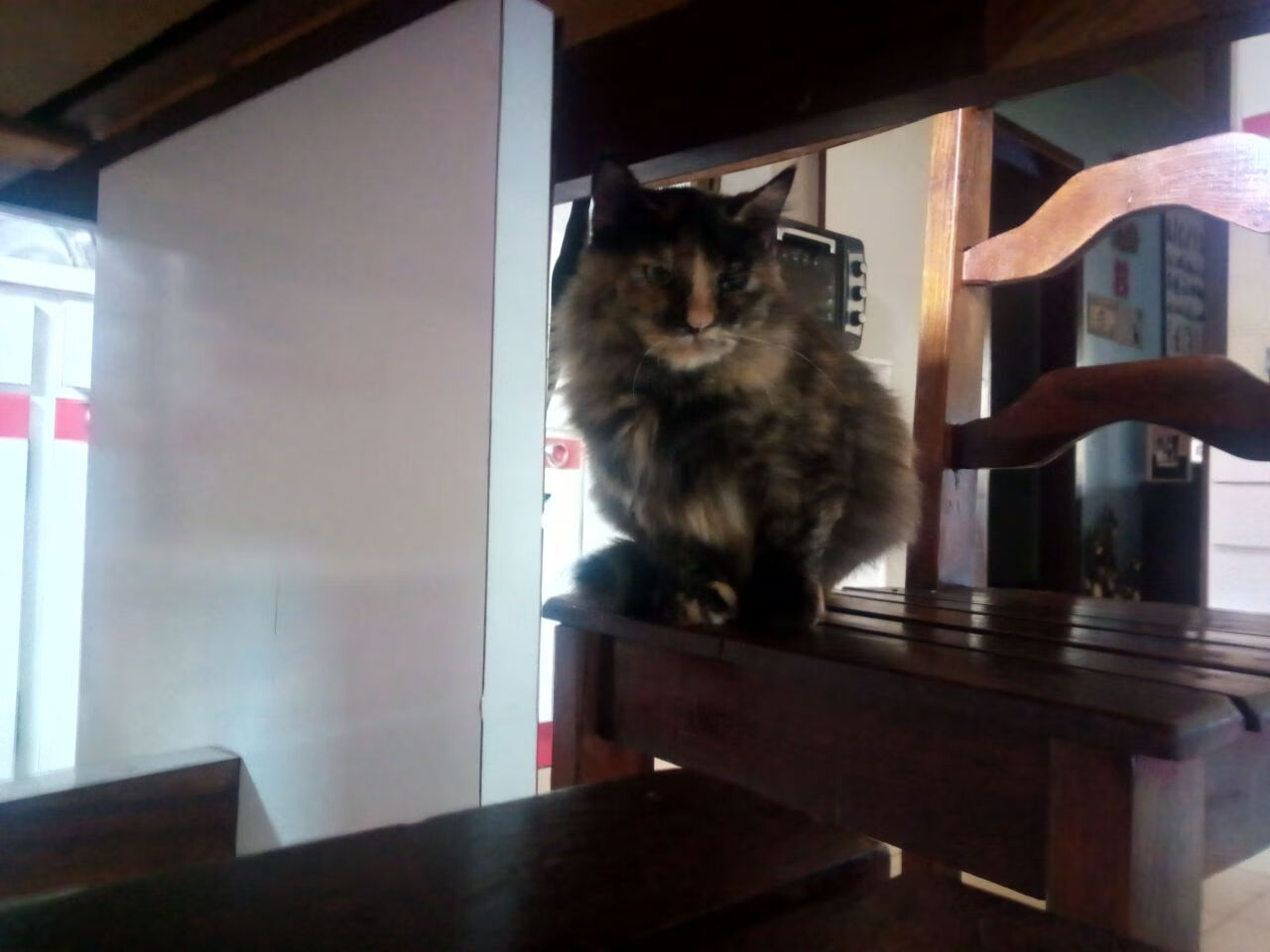 法甲球队连战连胜,冠军气息弥漫,法甲连胜纪录