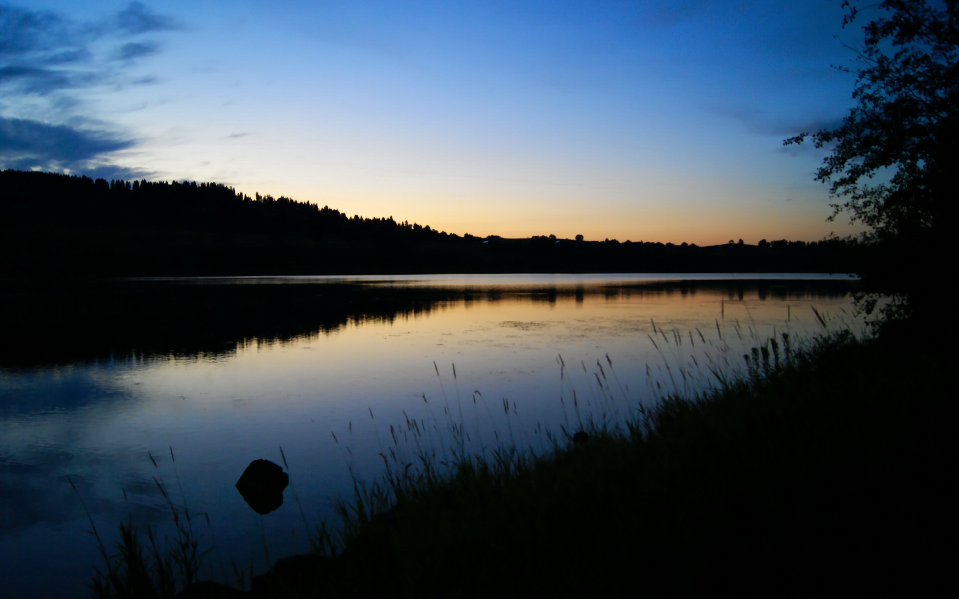 荷兰前锋神秘伤愈,即将迎战瑞士,荷兰能成才的前锋新星有哪些