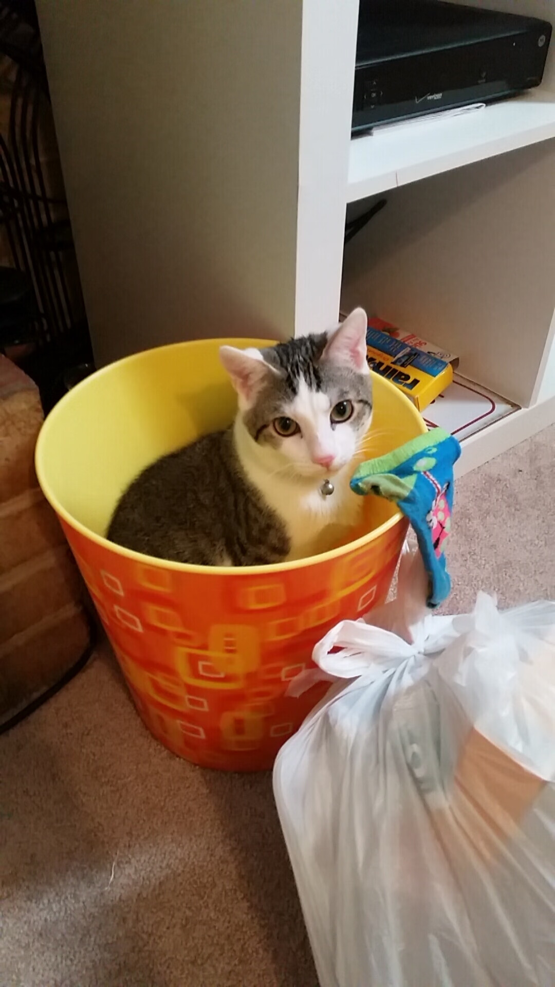 西班牙队轻松获得欧洲杯正赛资格,实力强悍,西班牙欧洲杯比赛结果