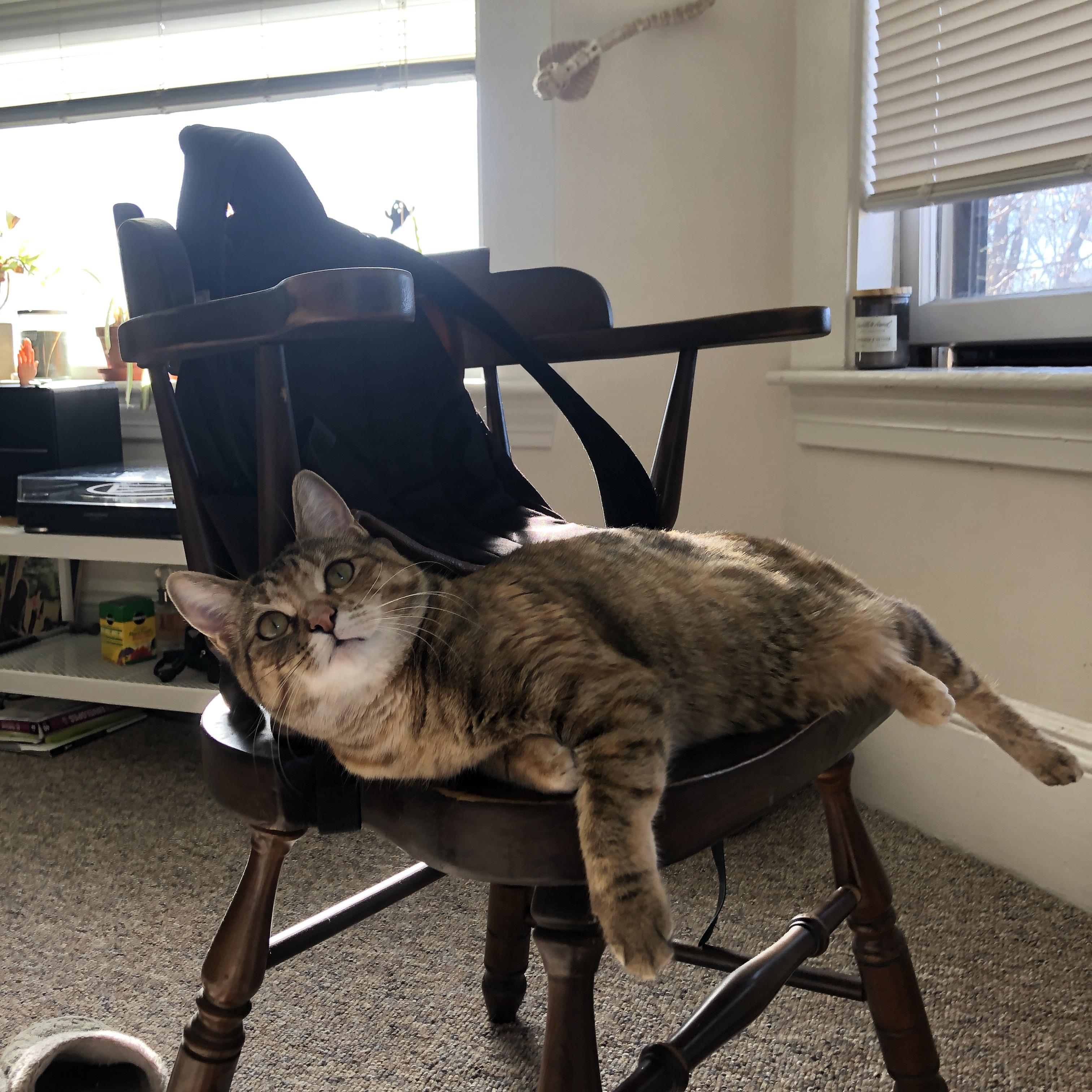 LEYU乐鱼体育官方网站-足球比赛场上技战术纷呈，赛况备受瞩目，足球比赛场上常用的战术阵型