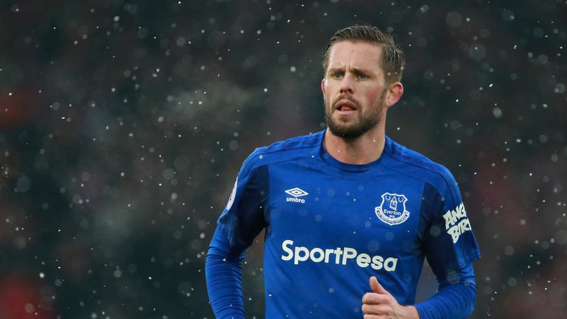 英超球队在不同气候环境下跑动分布与热区变化对比研究,英超气氛最好的主场