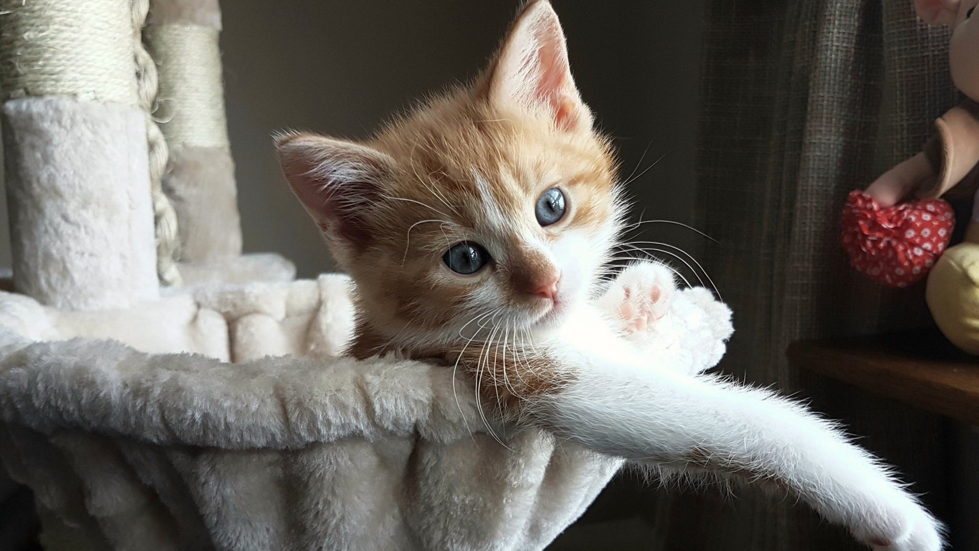 西甲边锋跑动强度与球队进攻效率相关性调查，西甲边后卫