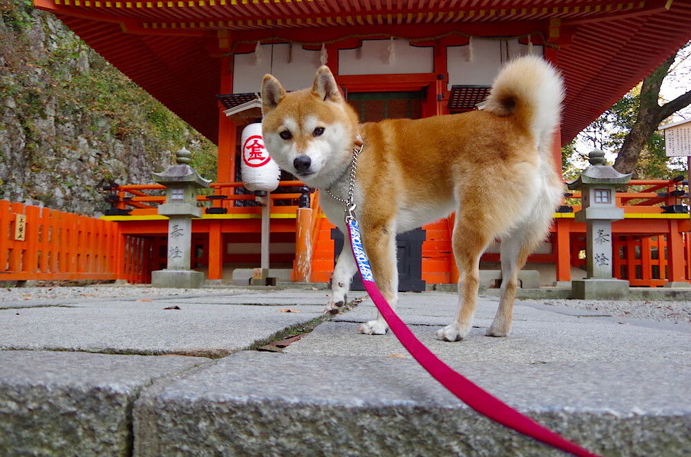 APP下载 LY Sports-中国三人篮球男队强调节奏变化应对防守，中国3人篮球男队