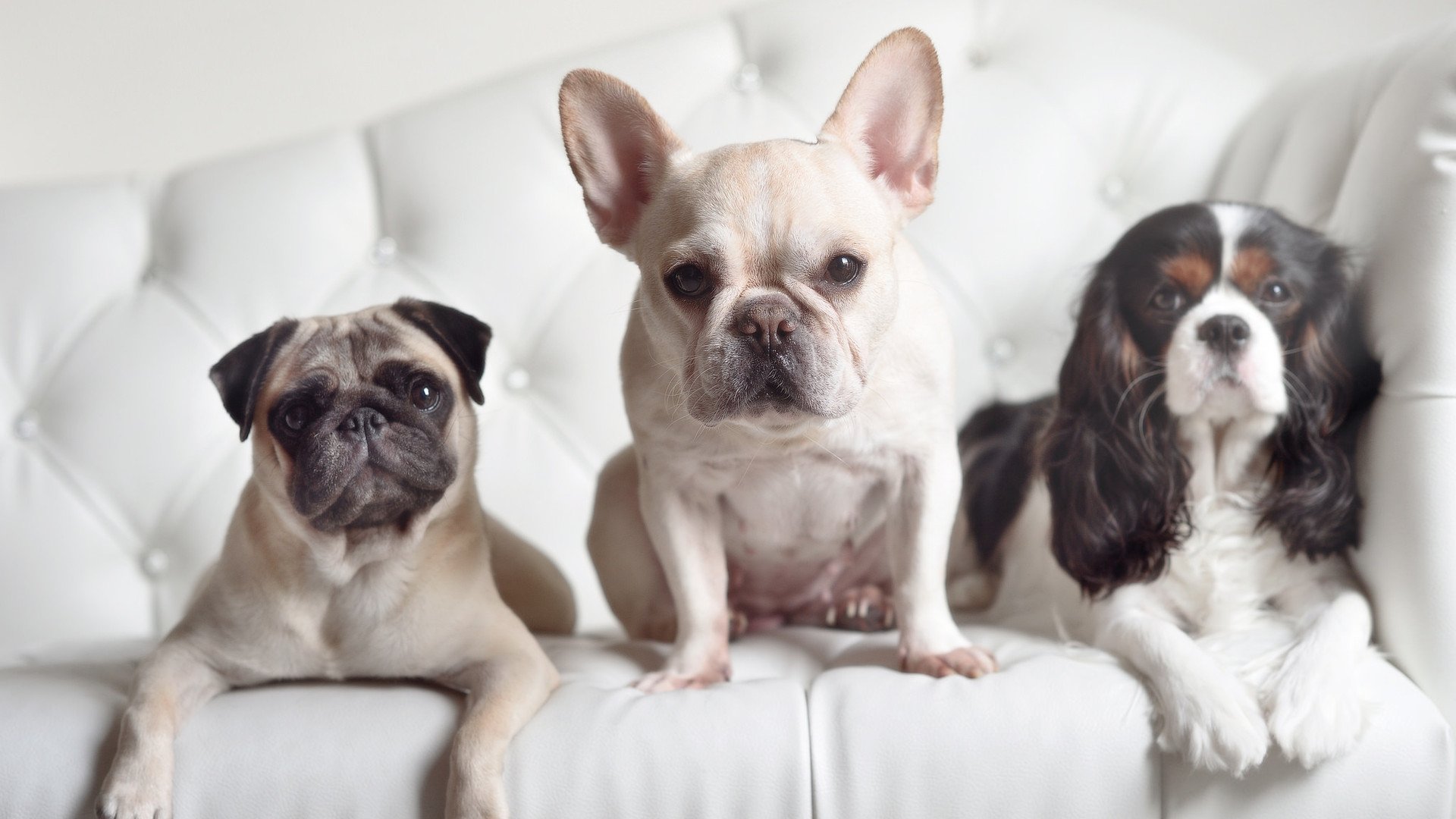 世界杯激情四溢:每一秒都引爆现场,世界杯激动人心时刻