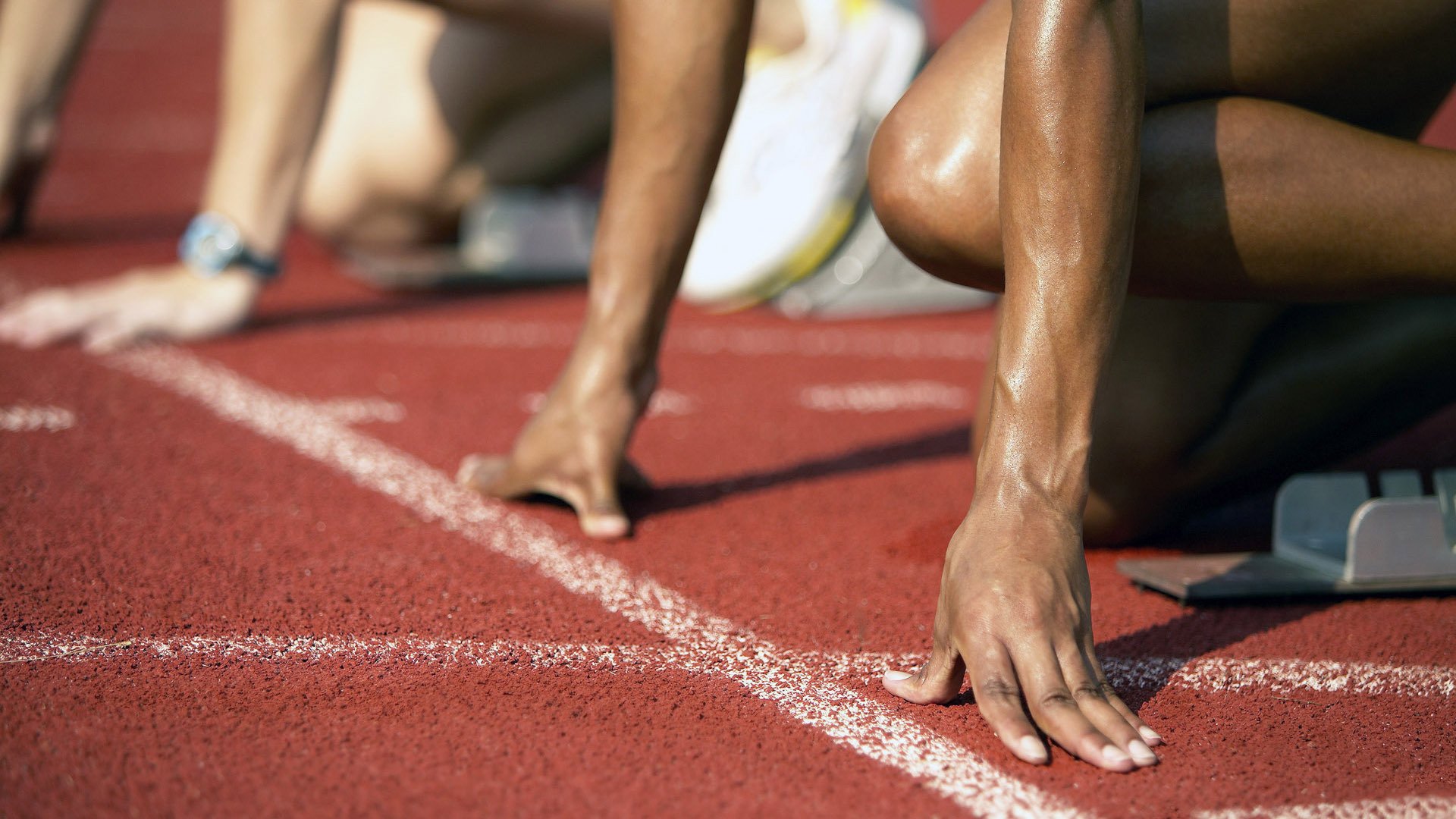 leyu乐鱼在线登录入口-世界杯环境保护及绿色赛事，世界杯环境日手抄报