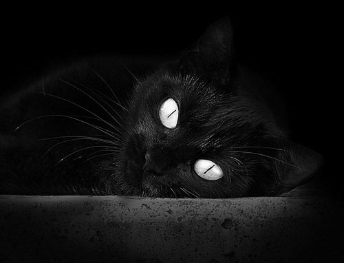 中国足球国家队提升战术执行节奏变化能力，中国足球国家队提升战术执行节奏变化能力的措施