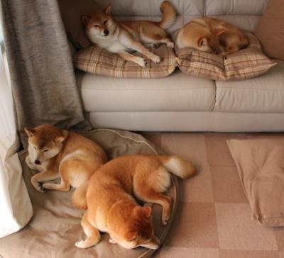 乐鱼体育(中国)官方网站-国家体育总局同步发布运动员征兵政策相关调整方案，国家运动员要求