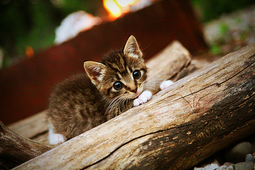 乐鱼体育APP官方下载-威少突破吸引包夹助队友轻松得分，威少突破脚步