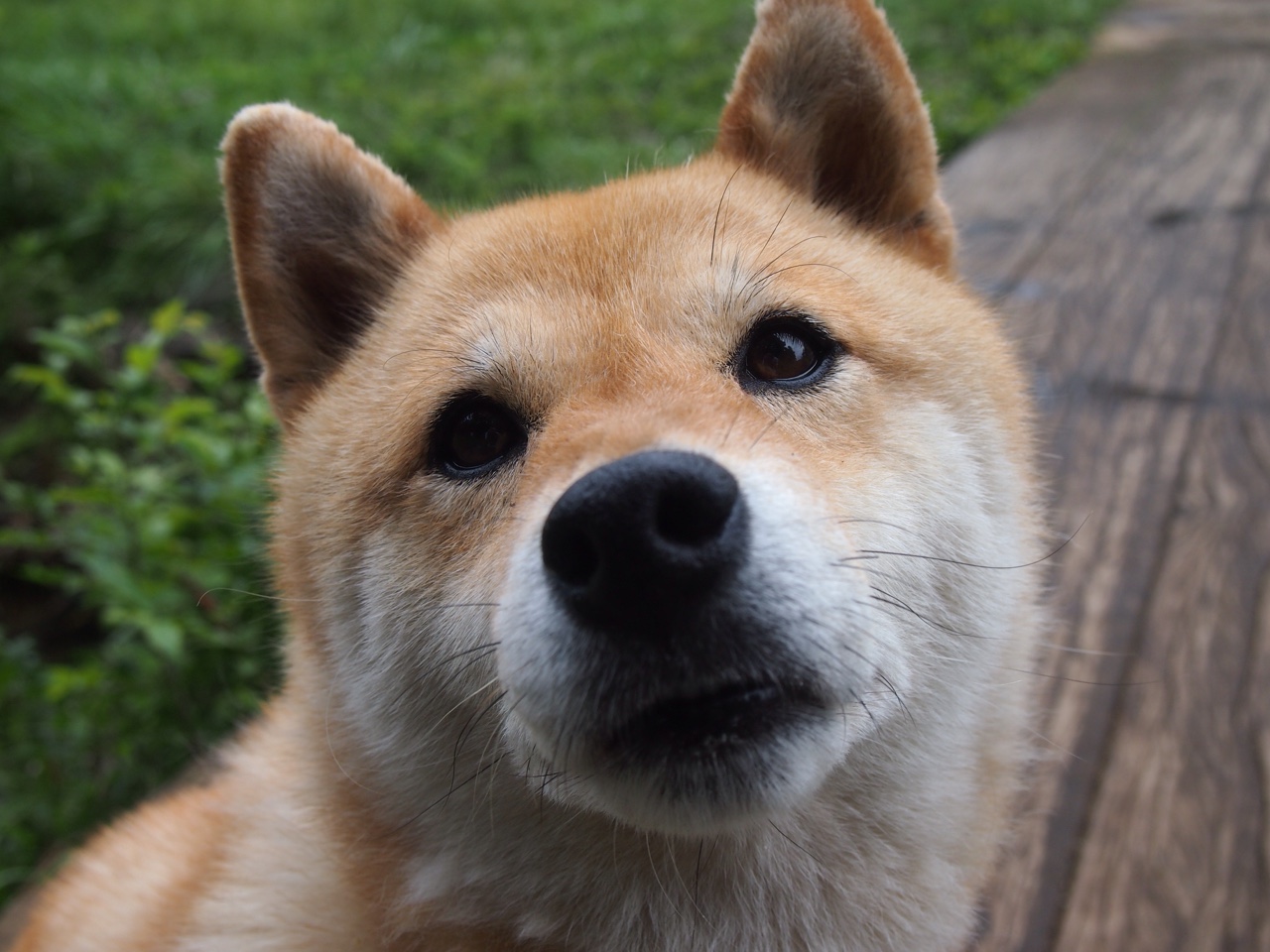 乐鱼（中国）体育官方网站-朱婷回归赛展现高效得分统治力，朱婷恢复