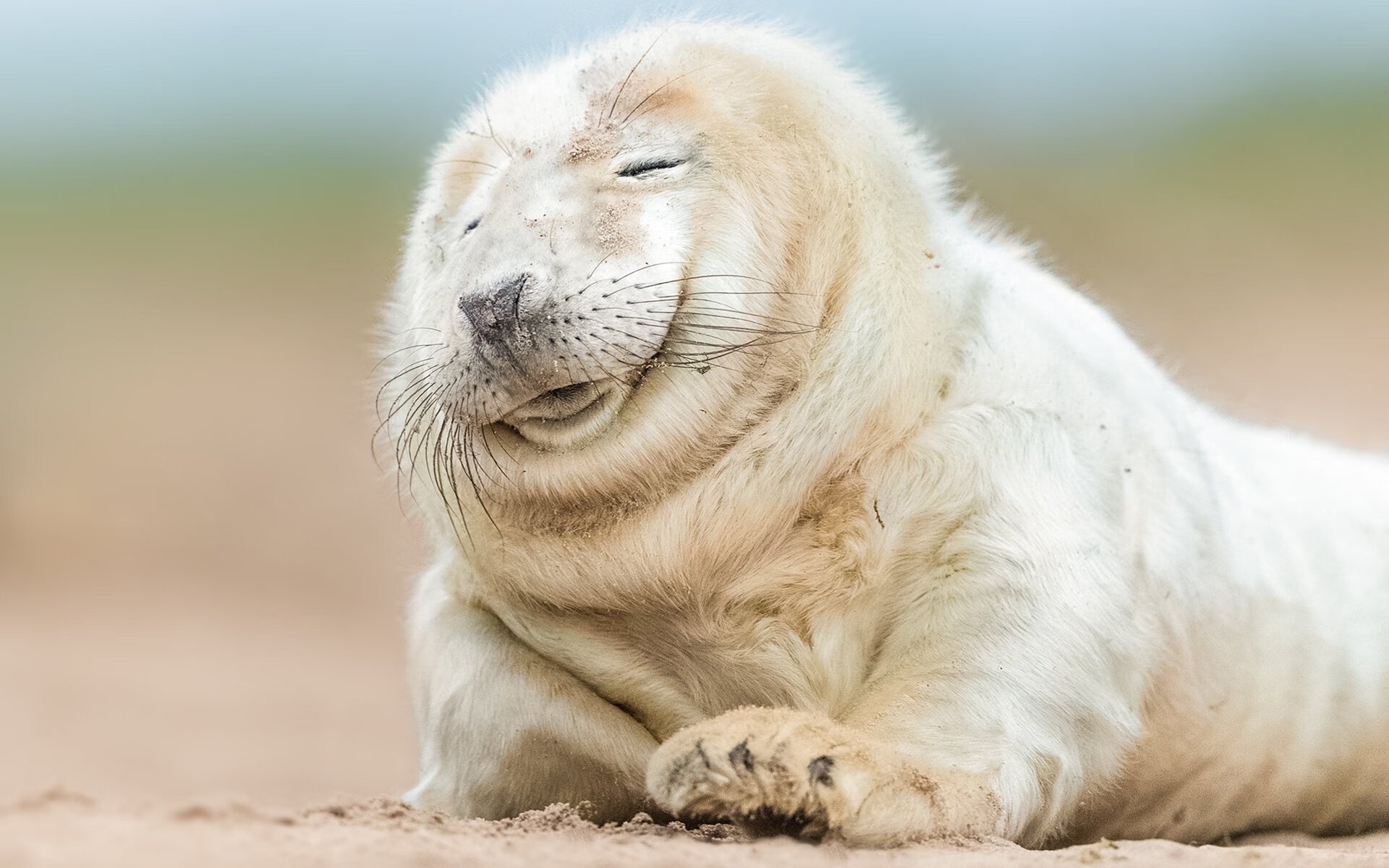 英超激烈争夺：每场都悬念不断！，“英超”