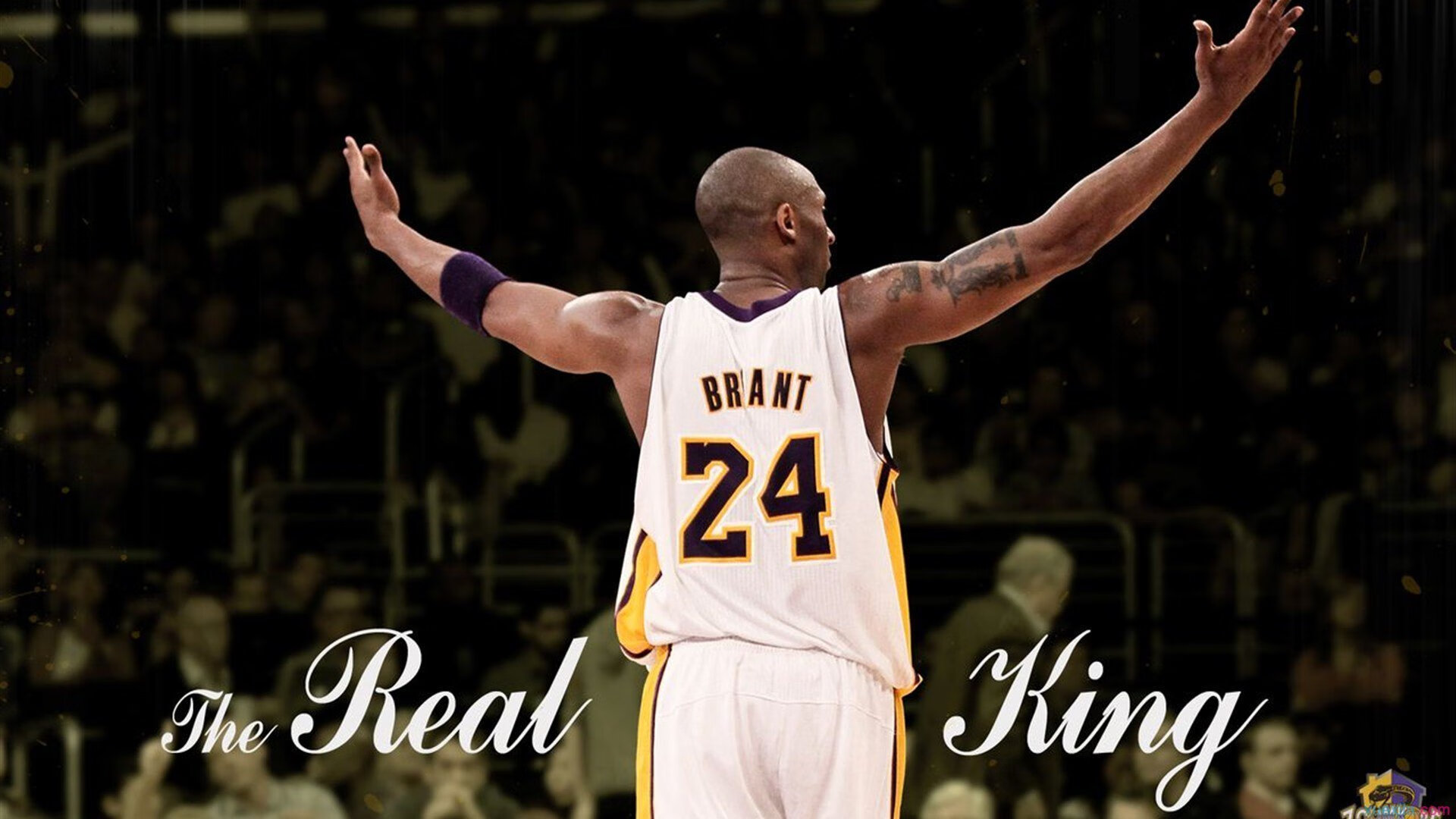 未来联盟：多元化的文化融合怎样推动篮球走向全球？，未来篮球发展的趋势